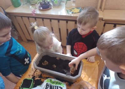Dzieci sadzą cebulki Narcyzów.