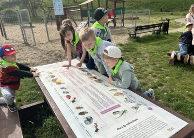 Dzieci z grupy żabek oglądają ilustracje i ciekawostki przyrodnicze.
