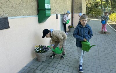 Domki dla owadów